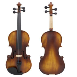 Violín con estuche y accesorios